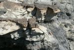 PICTURES/Bisti Badlands in De-Na-Zin Wilderness/t_Second Stop - Cool Rocks2.JPG